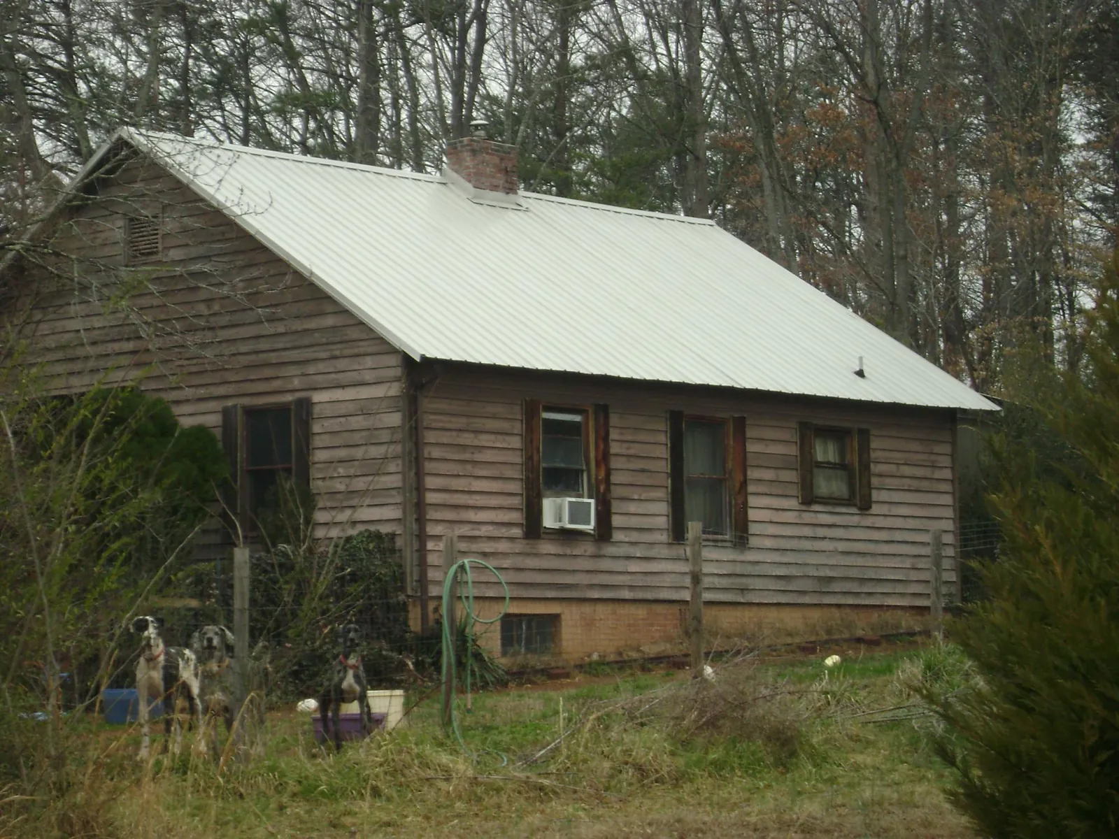 White metal roof on an old wood sided farmhouse, from a Asphalt Shingle Roof Repair job in Lostine